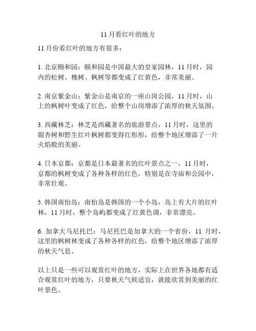 11月看红叶的地方
