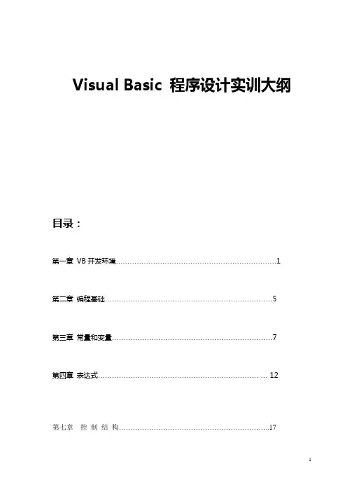 VB程序设计实训手册
