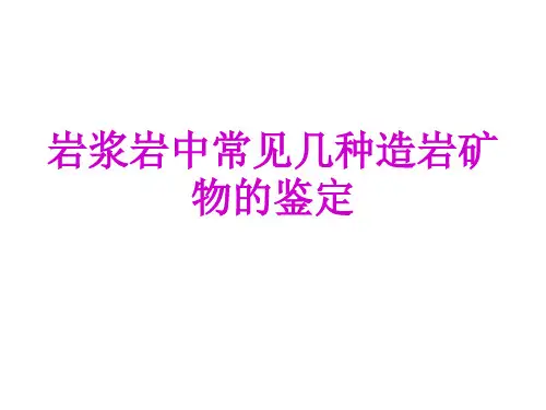岩浆岩中常见几种造岩矿物的鉴定