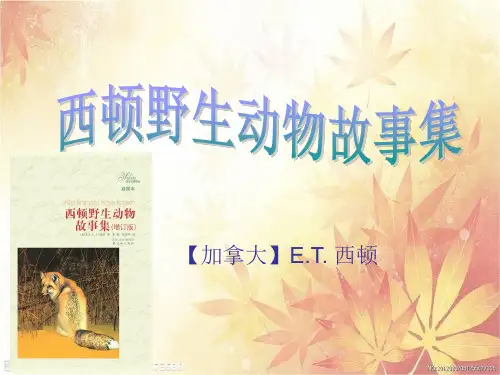 西顿野生动物故事集