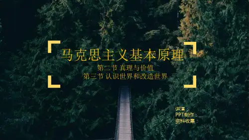 马原小组PPT