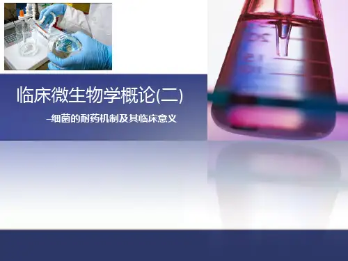 临床微生物学概论(二) ─细菌的耐药机制及其临床意义