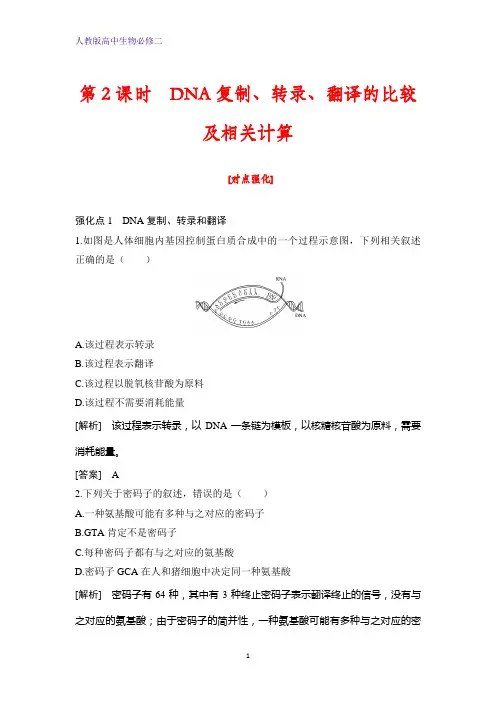 高中生物必修二课时作业27：4.1.2 DNA复制、转录、翻译的比较及相关计算