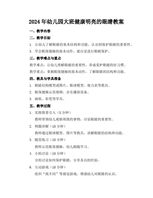 2024年幼儿园大班健康明亮的眼睛教案