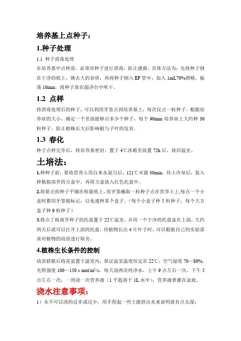 拟南芥种植方法.doc