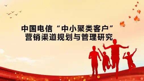 中国电信“中小聚类客户”营销渠道规划与管理研究