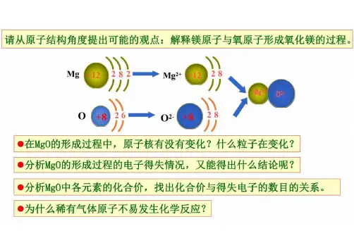 元素周期表  高一上学期化学人教版(2019)必修第一册