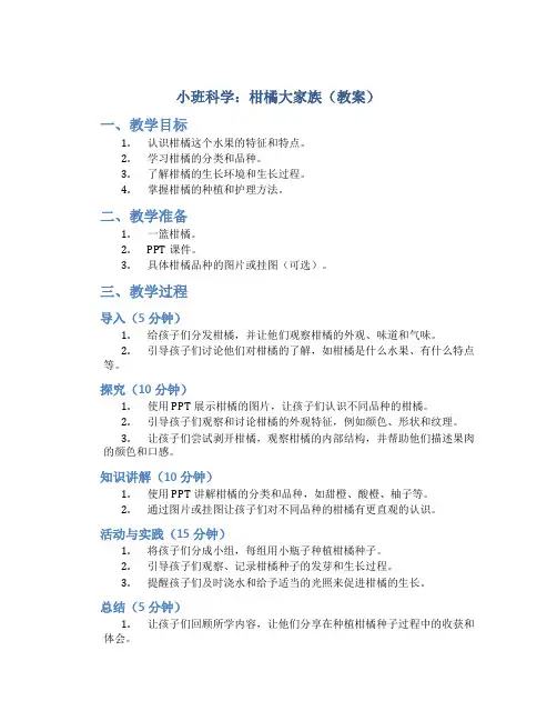 小班科学：柑橘大家族(教案)