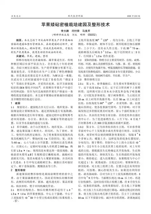 苹果矮砧密植栽培建园及整形技术