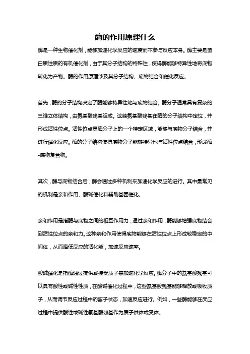 酶的作用原理什么