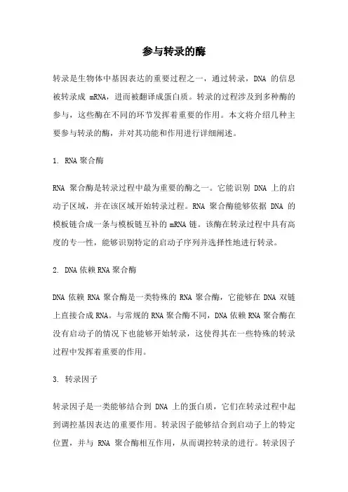 参与转录的酶