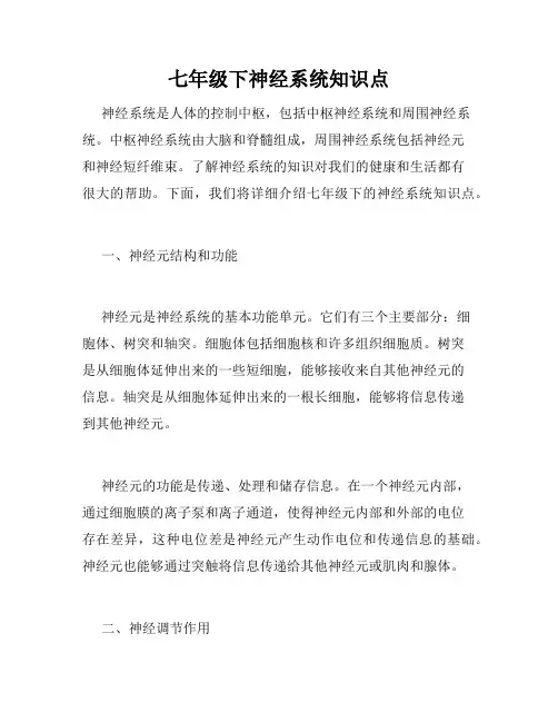 七年级下神经系统知识点
