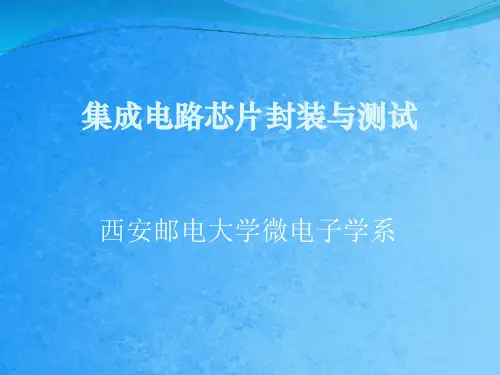 第1章集成电路芯片封装技术概述ppt课件