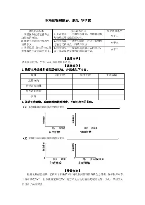 主动运输和胞吞、胞吐 导学案 2022-2023学年高一上学期生物人教版(2019)必修1