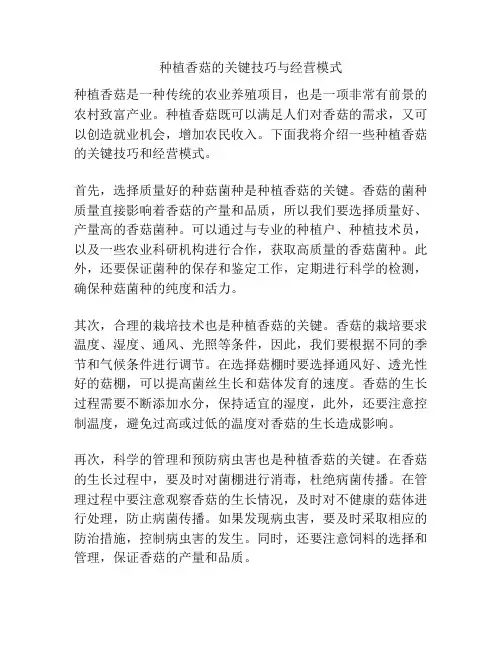 种植香菇的关键技巧与经营模式