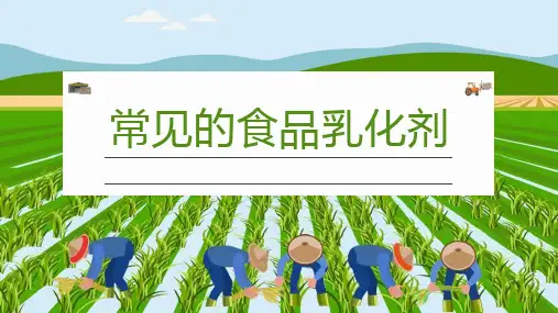 常见的食品乳化剂
