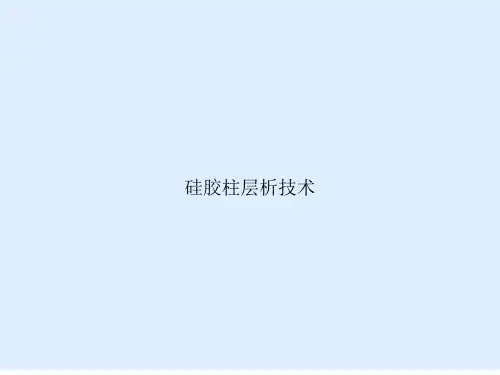 硅胶柱层析技术