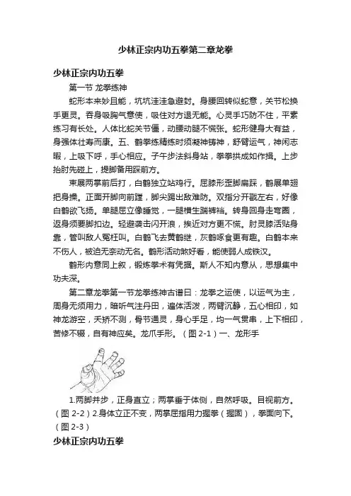 少林正宗内功五拳第二章龙拳