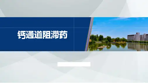 钙通道阻滞药