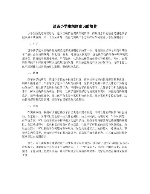 浅谈小学生规则意识的培养