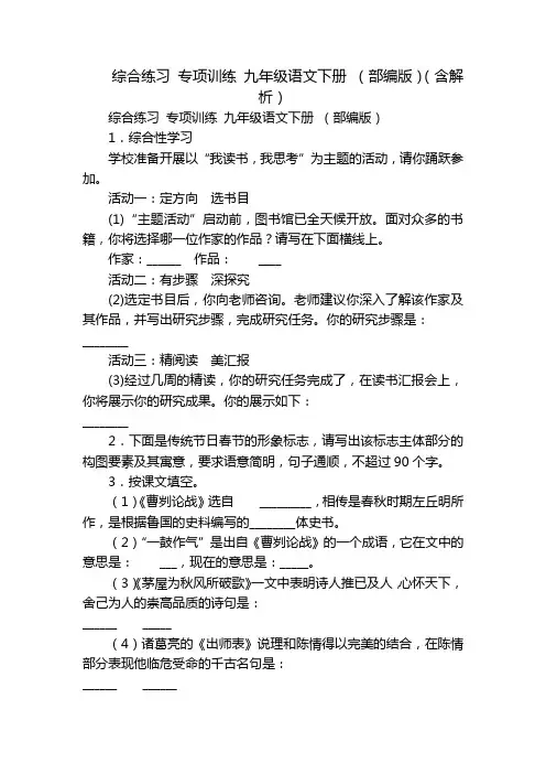 综合练习 专项训练 九年级语文下册 (部编版)(含解析)