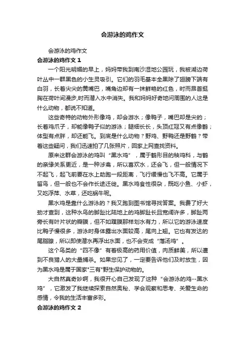 会游泳的鸡作文