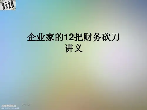 企业家的12把财务砍刀讲义
