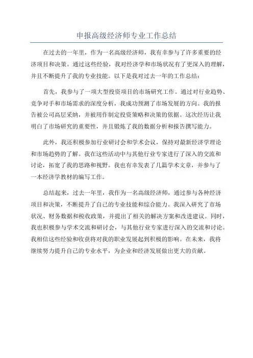 申报高级经济师专业工作总结