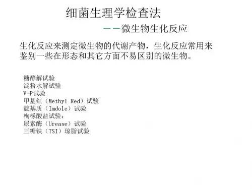 细菌生理学检查法--微生物生化反应