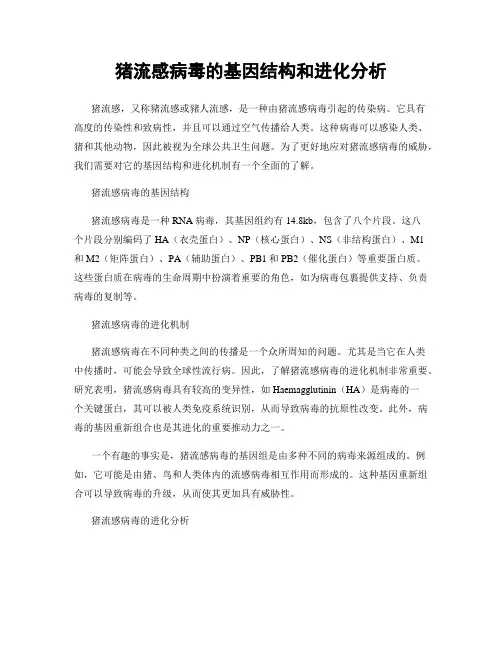 猪流感病毒的基因结构和进化分析