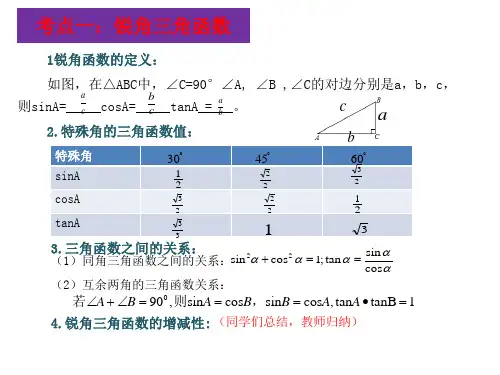 锐角三角函数与解直角三角形.pptx