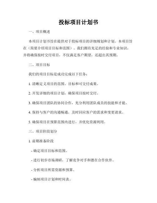 投标项目计划书