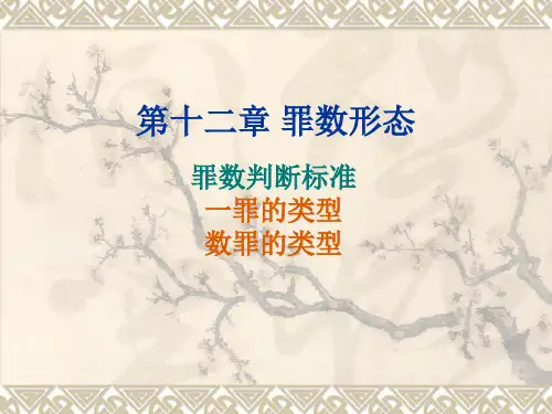 第12章  罪数形态