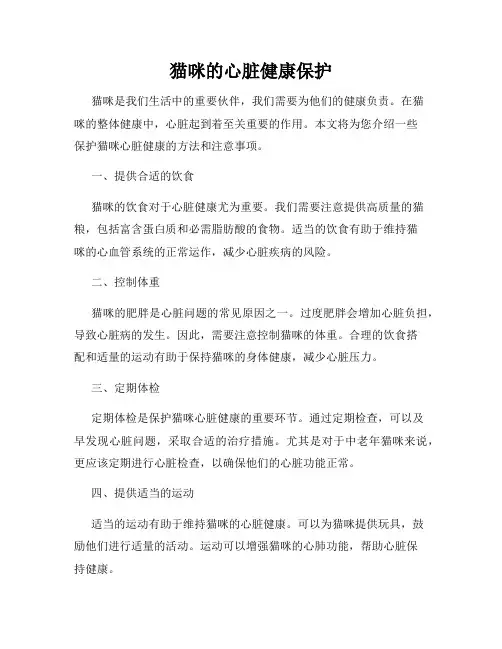 猫咪的心脏健康保护