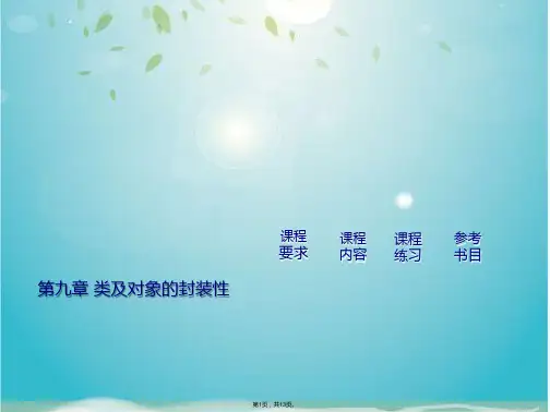 面向对象程序设计(共13张PPT)