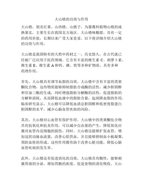 大山楂的功效与作用