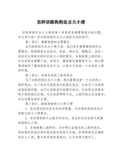 怎样训练狗狗定点大小便