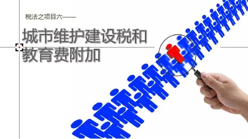 项目六：任务一城市维护建设税