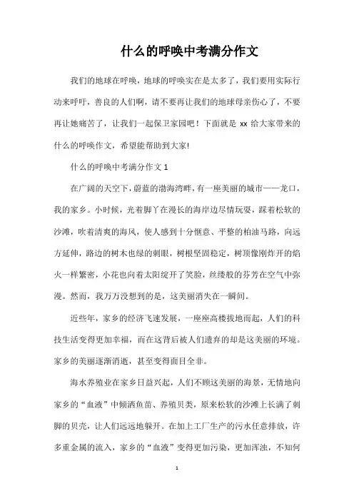 什么的呼唤中考满分作文