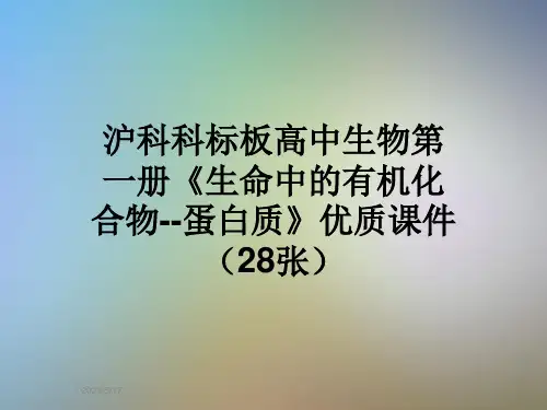 沪科科标板高中生物第一册《生命中的有机化合物--蛋白质》优质课件(28张)
