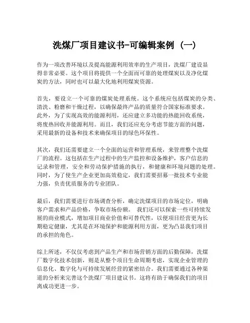 洗煤厂项目建议书-可编辑案例 (一)