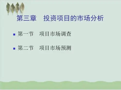 投资项目的市场分析PPT课件( 36页)