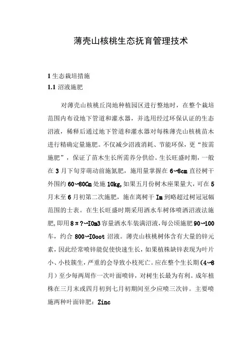 薄壳山核桃生态抚育管理技术