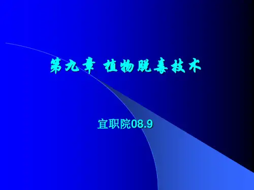 组织培养第九章植物脱毒技术