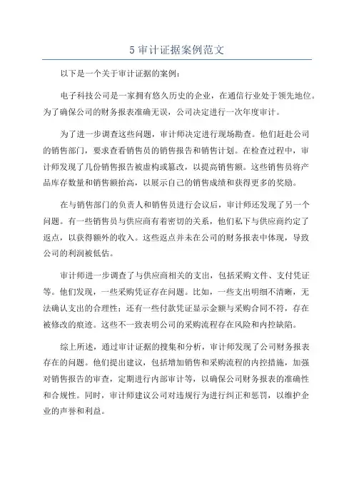 5审计证据案例范文