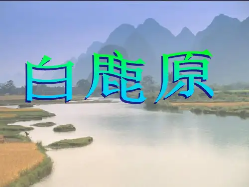 《白鹿原》课件 ppt课件