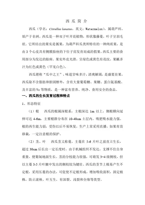 西瓜简介