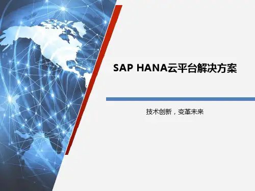 SAP HANA云平台解决方案