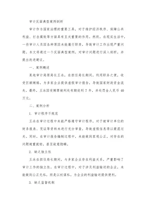 审计反面典型案例剖析