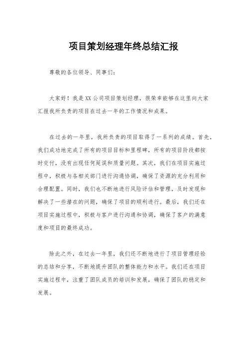 项目策划经理年终总结汇报
